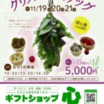 11月イベントチラシ