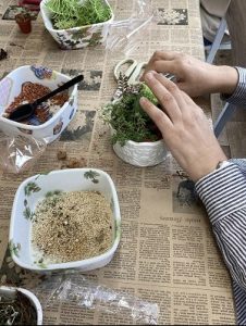 多肉植物の寄せ植え体験！