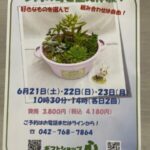来月は、多肉の寄せ植え体験