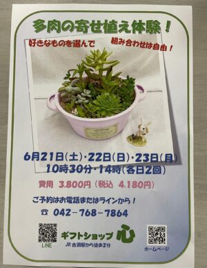 来月は、多肉の寄せ植え体験