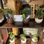 お迎え、お待ちしてます！
