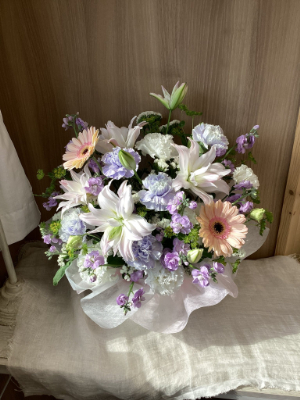 店内は冬の針葉樹の香りでいっぱい！