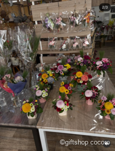 アレンジメント