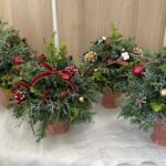 今年も生のツリー販売開始しました！