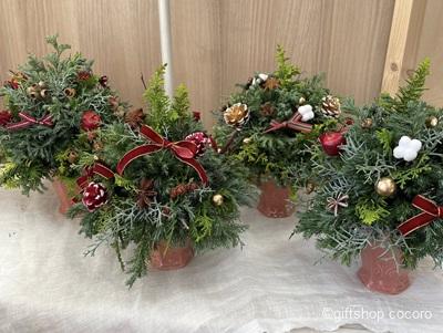 今年も生のツリー販売開始しました!