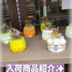 可愛い商品が入荷されました