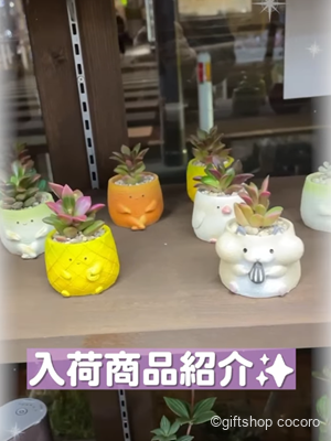 可愛い商品が入荷されました