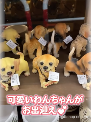 可愛い商品が入荷されました