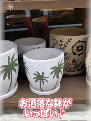 可愛い商品が入荷されました